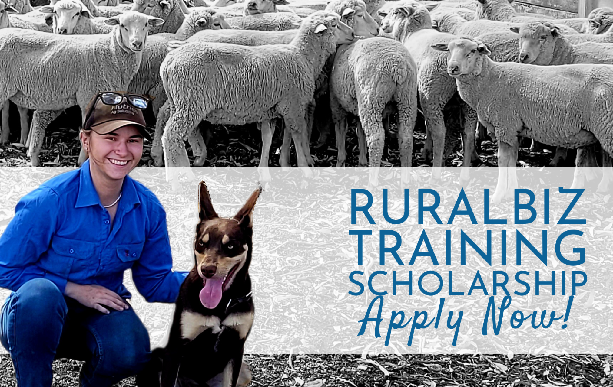 RuralBiz Training Scholarships 2024